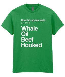 how to speak irish